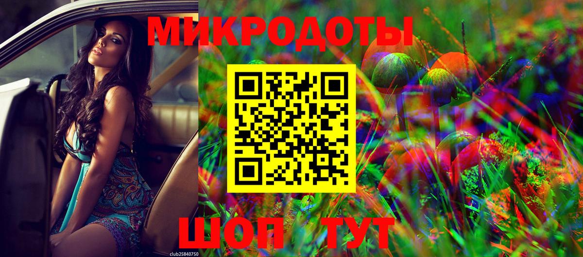 Галлюциногенные грибы Cubensis Курчатов